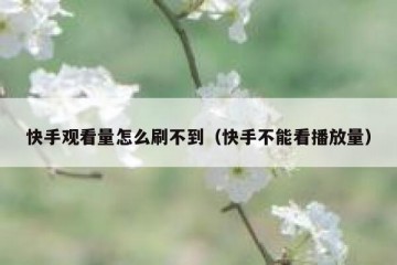 快手观看量怎么刷不到（快手不能看播放量）