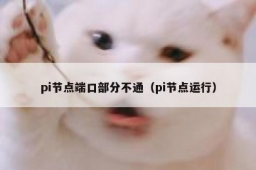 pi节点端口部分不通（pi节点运行）