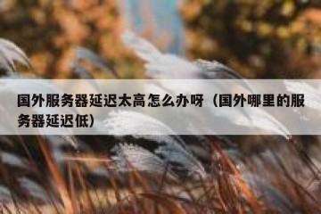 国外服务器延迟太高怎么办呀（国外哪里的服务器延迟低）