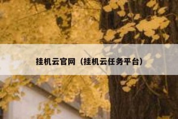 挂机云官网（挂机云任务平台）