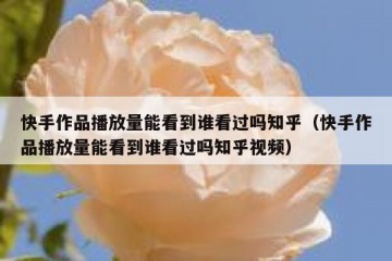 快手作品播放量能看到谁看过吗知乎（快手作品播放量能看到谁看过吗知乎视频）