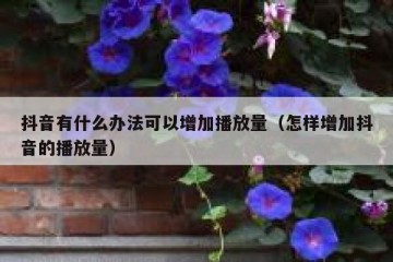 抖音有什么办法可以增加播放量（怎样增加抖音的播放量）