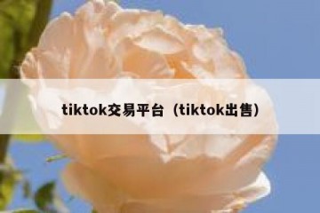 tiktok交易平台（tiktok出售）