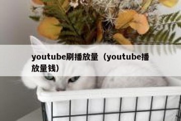 youtube刷播放量（youtube播放量钱）