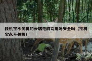 挂机宝不关机的云端电脑能用吗安全吗（挂机宝永不关机）