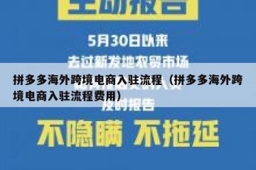 拼多多海外跨境电商入驻流程（拼多多海外跨境电商入驻流程费用）