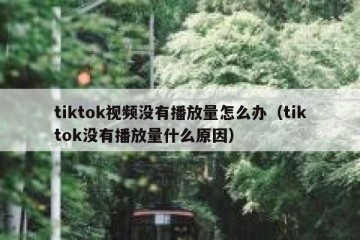 tiktok视频没有播放量怎么办（tiktok没有播放量什么原因）