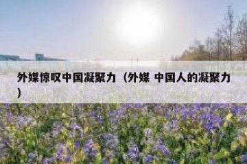 外媒惊叹中国凝聚力（外媒 中国人的凝聚力）