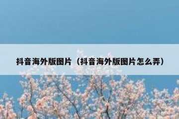 抖音海外版图片（抖音海外版图片怎么弄）
