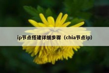 ip节点搭建详细步骤（chia节点ip）