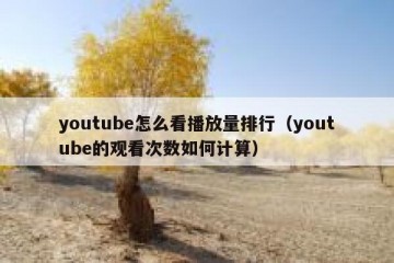 youtube怎么看播放量排行（youtube的观看次数如何计算）