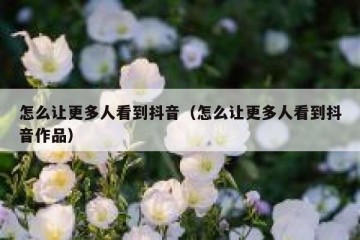 怎么让更多人看到抖音（怎么让更多人看到抖音作品）