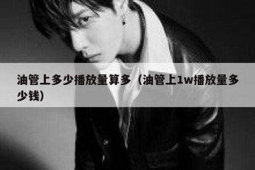 油管上多少播放量算多（油管上1w播放量多少钱）