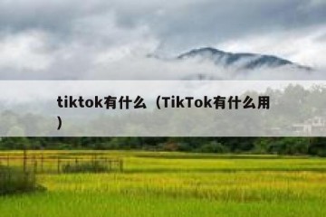 tiktok有什么（TikTok有什么用）