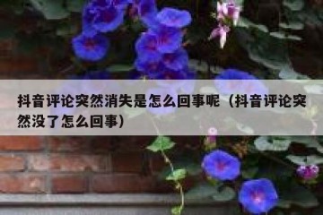 抖音评论突然消失是怎么回事呢（抖音评论突然没了怎么回事）