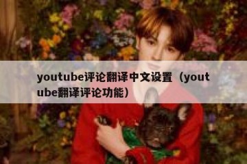 youtube评论翻译中文设置（youtube翻译评论功能）