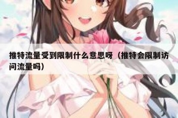 推特流量受到限制什么意思呀（推特会限制访问流量吗）