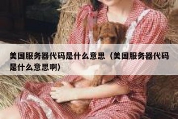美国服务器代码是什么意思（美国服务器代码是什么意思啊）