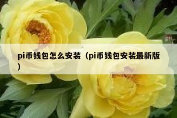pi币钱包怎么安装（pi币钱包安装最新版）