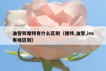 油管和推特有什么区别（推特,油管,ins有啥区别）
