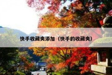 快手收藏夹添加（快手的收藏夹）