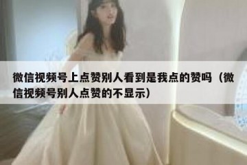 微信视频号上点赞别人看到是我点的赞吗（微信视频号别人点赞的不显示）