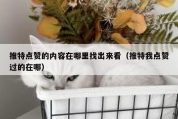 推特点赞的内容在哪里找出来看（推特我点赞过的在哪）