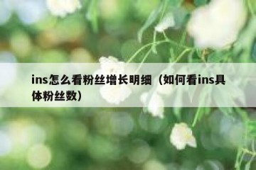 ins怎么看粉丝增长明细（如何看ins具体粉丝数）