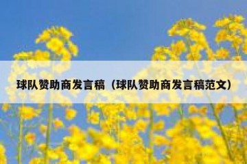 球队赞助商发言稿（球队赞助商发言稿范文）