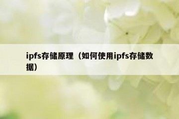 ipfs存储原理（如何使用ipfs存储数据）