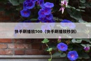 快手刷播放500（快手刷播放秒到）