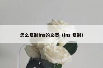 怎么复制ins的文案（ins 复制）