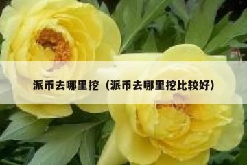 派币去哪里挖（派币去哪里挖比较好）