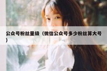 公众号粉丝量级（微信公众号多少粉丝算大号）