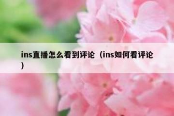 ins直播怎么看到评论（ins如何看评论）