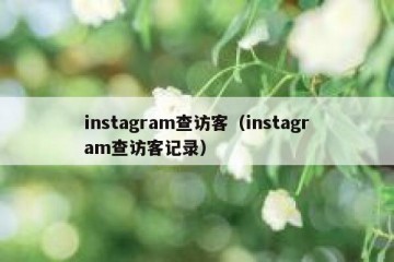 instagram查访客（instagram查访客记录）