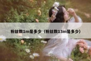 粉丝数1m是多少（粉丝数13m是多少）