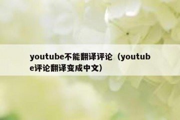 youtube不能翻译评论（youtube评论翻译变成中文）