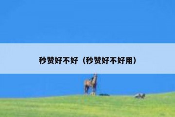 秒赞好不好（秒赞好不好用）