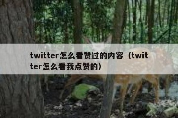 twitter怎么看赞过的内容（twitter怎么看我点赞的）