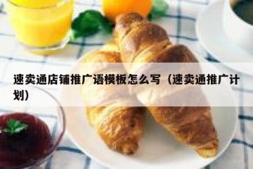 速卖通店铺推广语模板怎么写（速卖通推广计划）