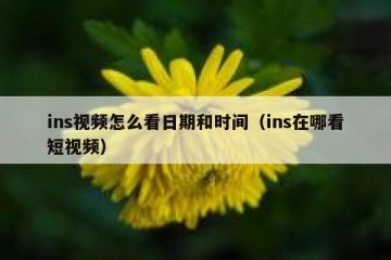ins视频怎么看日期和时间（ins在哪看短视频）
