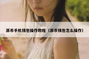 派币手机钱包操作教程（派币钱包怎么操作）