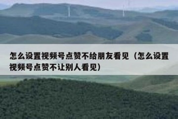 怎么设置视频号点赞不给朋友看见（怎么设置视频号点赞不让别人看见）