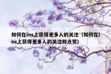 如何在ins上获得更多人的关注（如何在ins上获得更多人的关注和点赞）