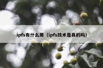 ipfs有什么用（ipfs技术是真的吗）