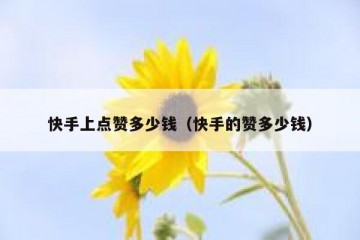 快手上点赞多少钱（快手的赞多少钱）