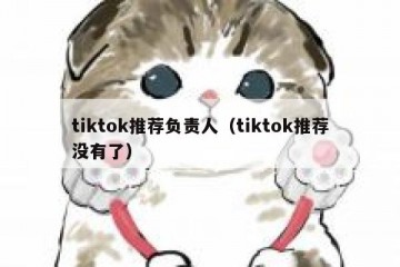 tiktok推荐负责人（tiktok推荐没有了）