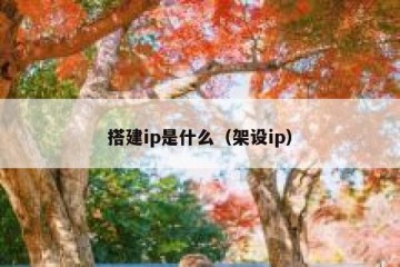搭建ip是什么（架设ip）