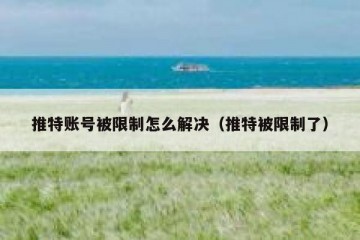 推特账号被限制怎么解决（推特被限制了）